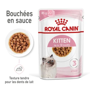 Royal Canin Kitten sauce - pâtée chaton
