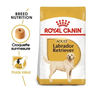 Royal Canin Labrador Retriever Adult - croquettes chien