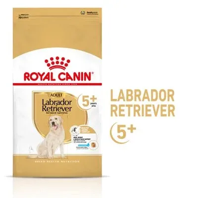 Royal Canin Labrador Retriever Adult 5+