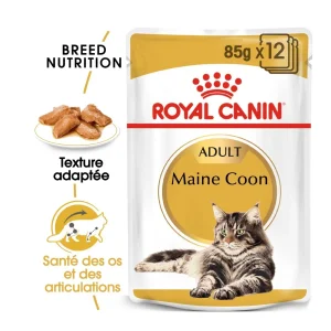 Royal Canin Maine Coon Adult - pâtée chat