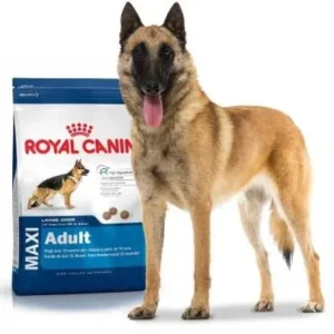 Royal Canin Maxi Adulte – 15 kg fr