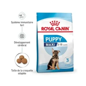 Royal Canin Maxi Puppy