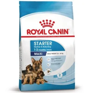 Royal Canin Maxi Starter Mother & Babydog pour chien