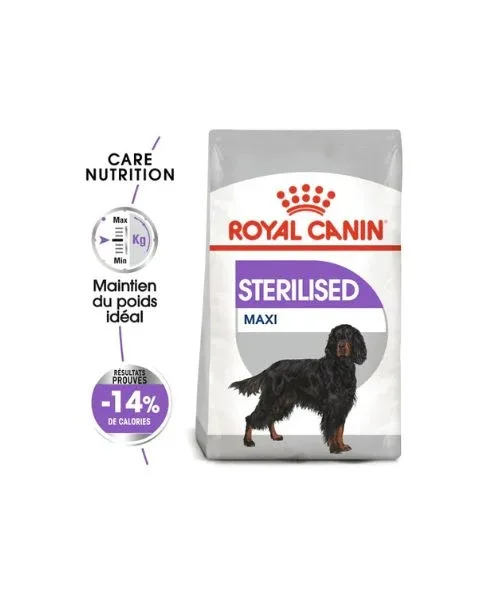 Royal Canin Maxi Sterilised