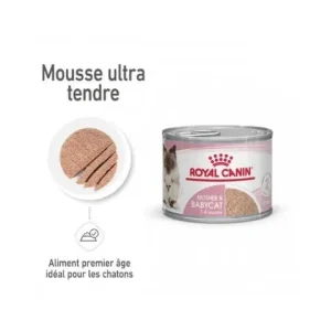 Royal Canin Mother & Babycat