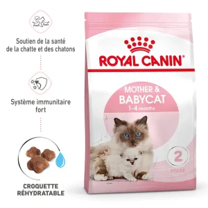 Royal Canin Mother & Babycat - croquettes chatte, chaton