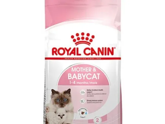 ROYAL CANIN MOTHER&BABYCAT CHATTE ET CHATON DE 0 A 4 MOIS 4KG Animal