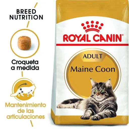 Royal Canin Nourriture Maine Coon 31 – France