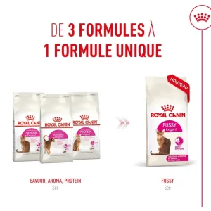 Royal Canin Protein Exigent - croquettes chat