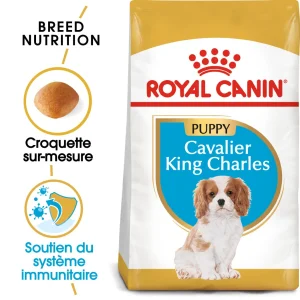 Royal Canin Puppy Cavalier King Charles pour chiot