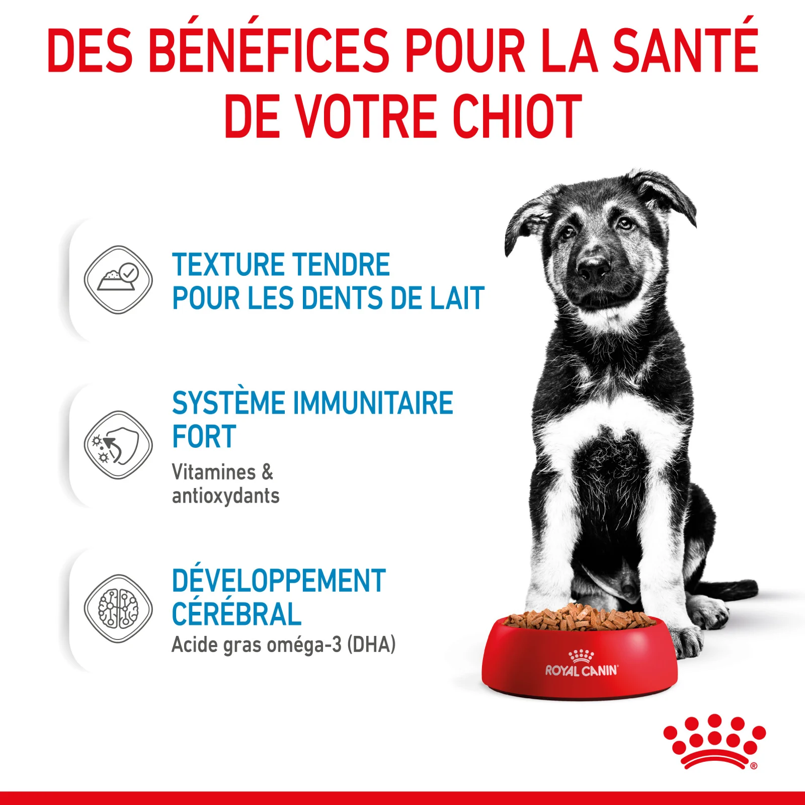Royal Canin - Sachets Puppy Maxi en Sauce pour Chiot - 10x140g - Image 2