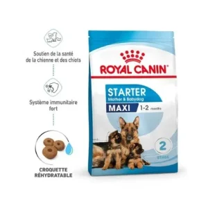 ROYAL CANIN Starter Maxi Mother & Babydog - Croquettes pour chiot
