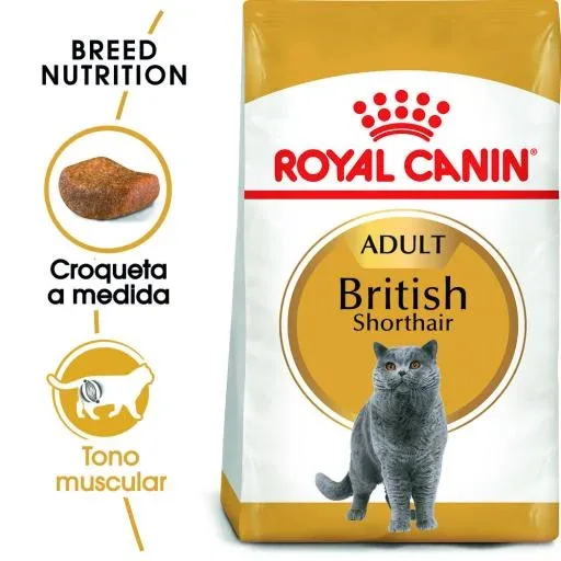 Royal Canin Tourteau British Shorthair – France
