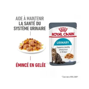 Royal Canin Urinary Care en gelée – pâtée chat
