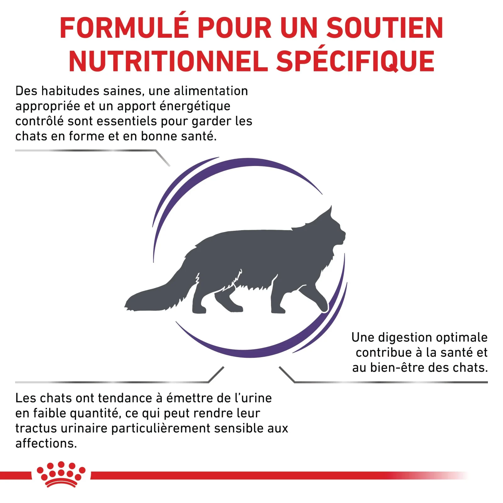 Royal Canin Vet Care Adult - Image 2
