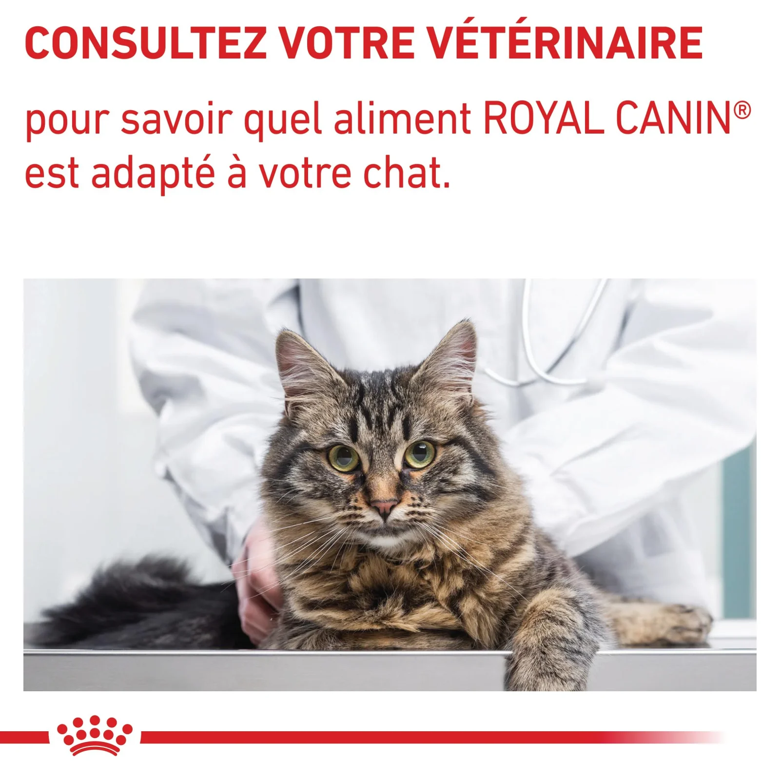 Royal Canin Vet Care Neutered Satiety Balance - croquettes chat - Image 2