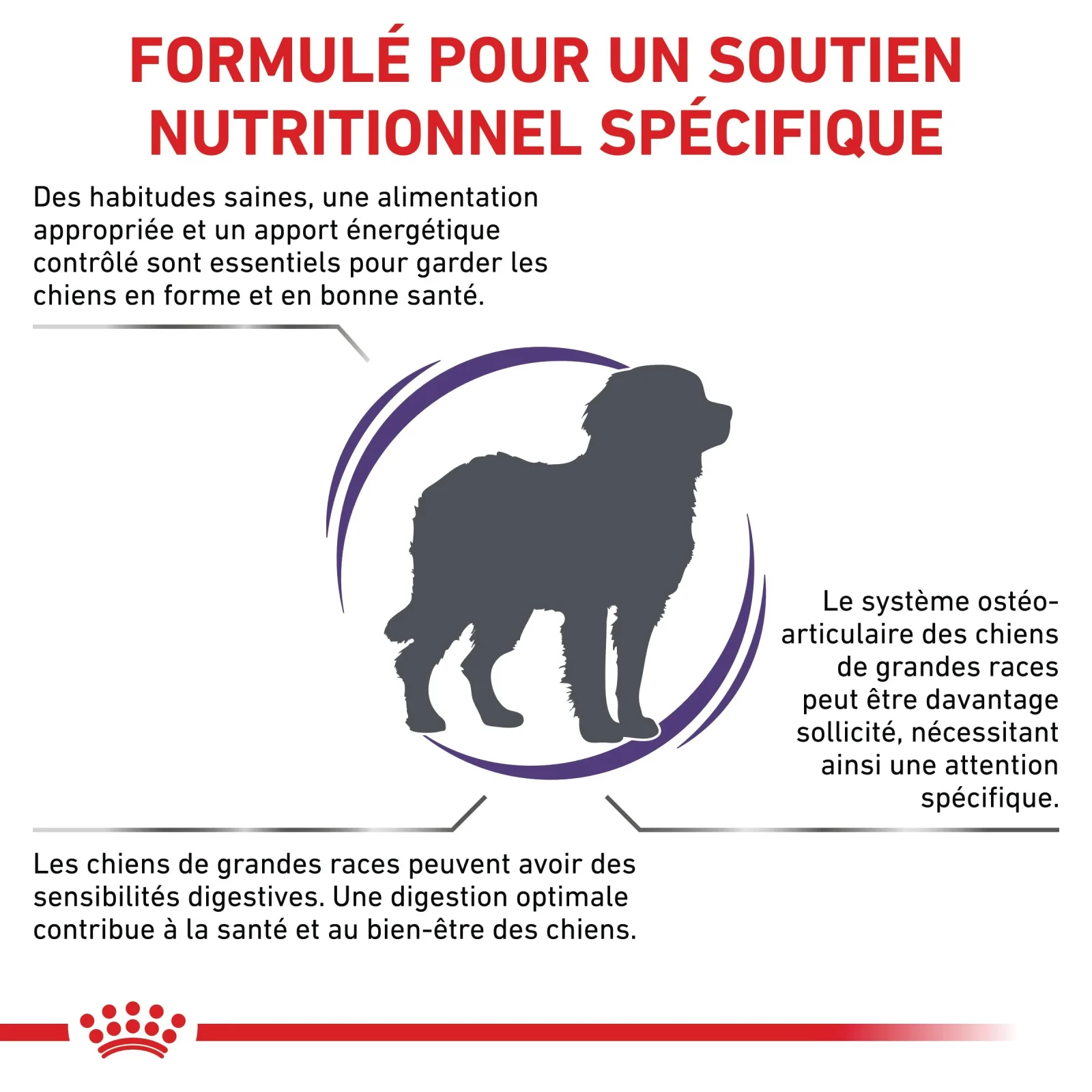 Royal Canin Veterinary Adult Large Dog - croquettes chien - Image 2