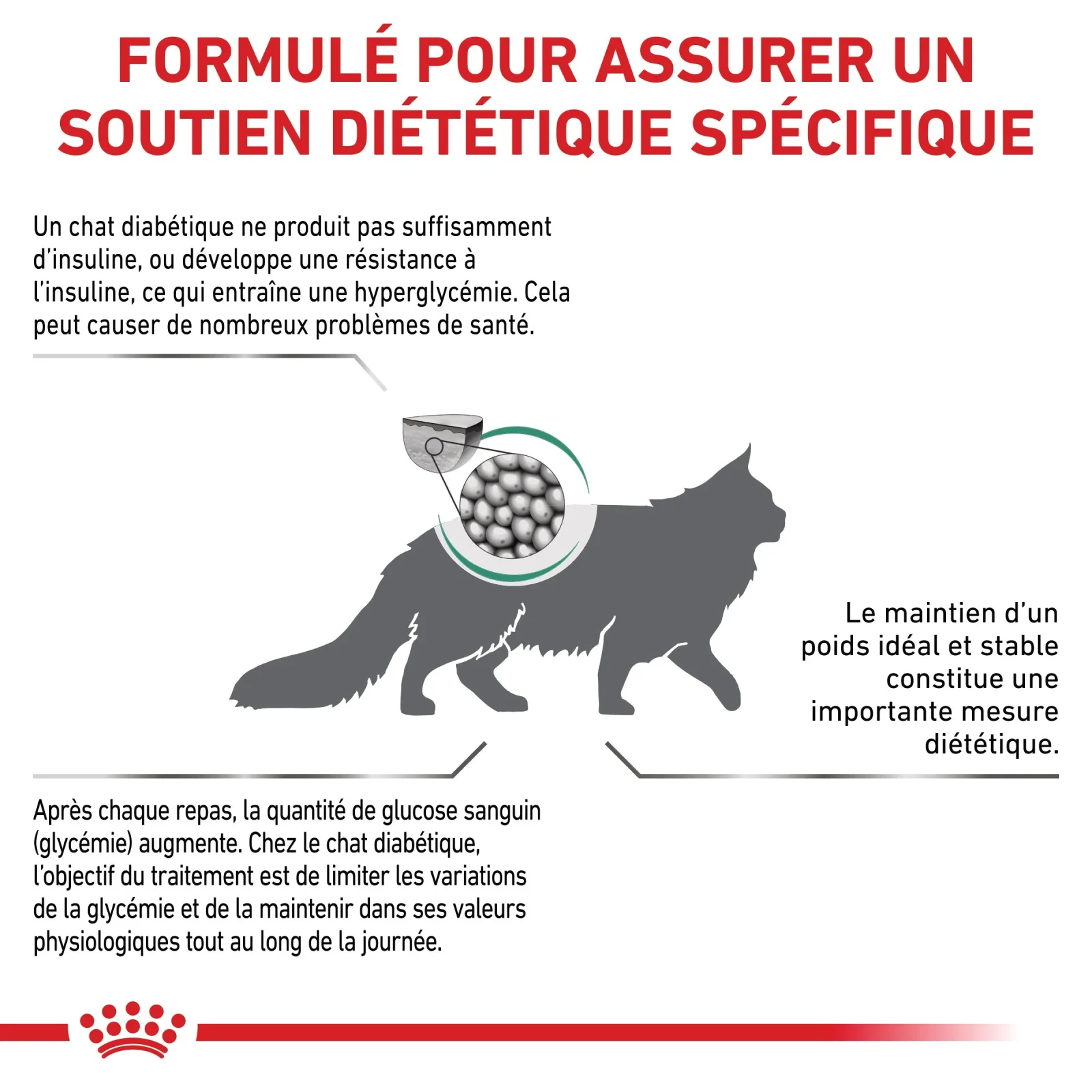 Royal Canin Veterinary Diabetic - croquettes chat - Image 2