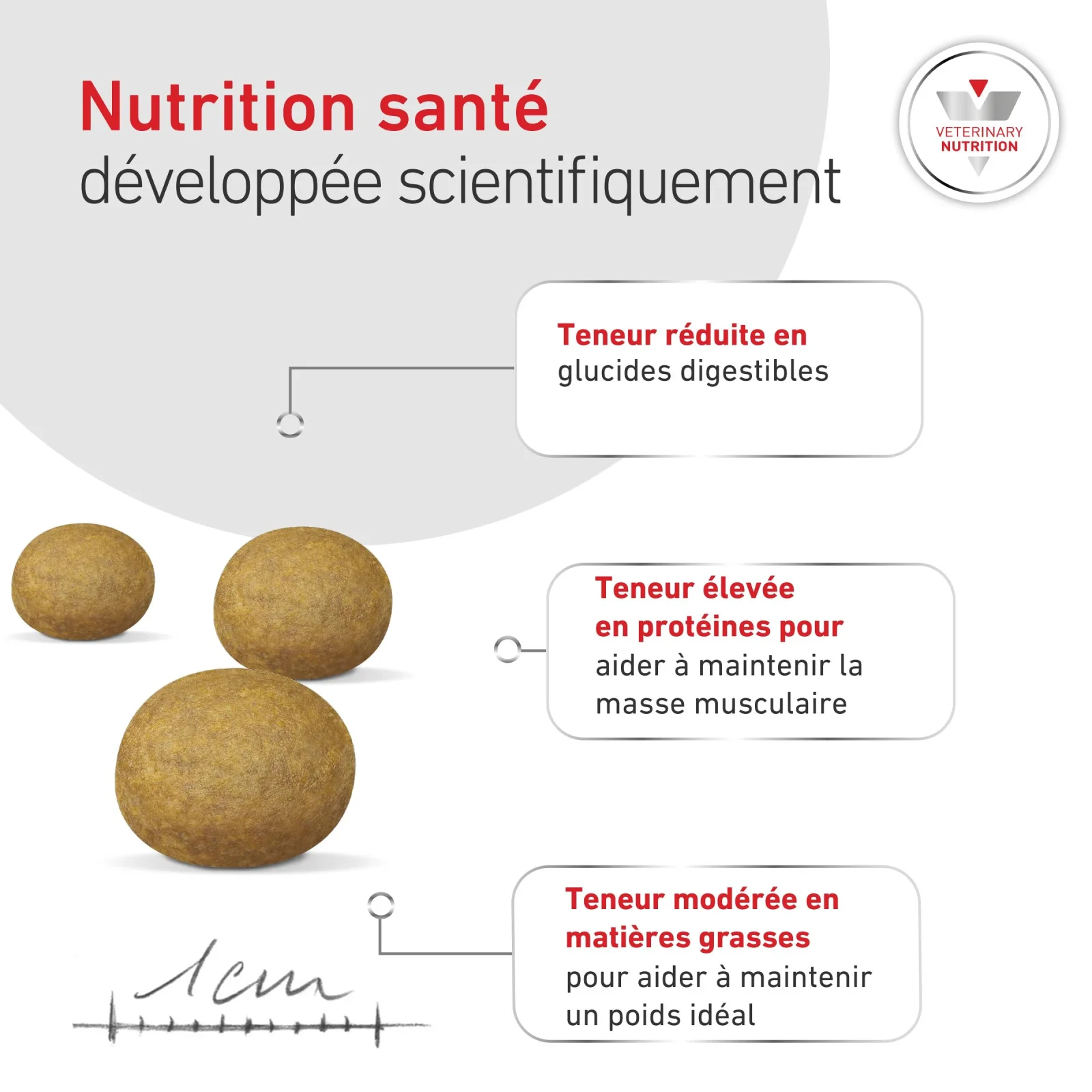 ROYAL CANIN Veterinary Diets Glycobalance pour chien - Image 2