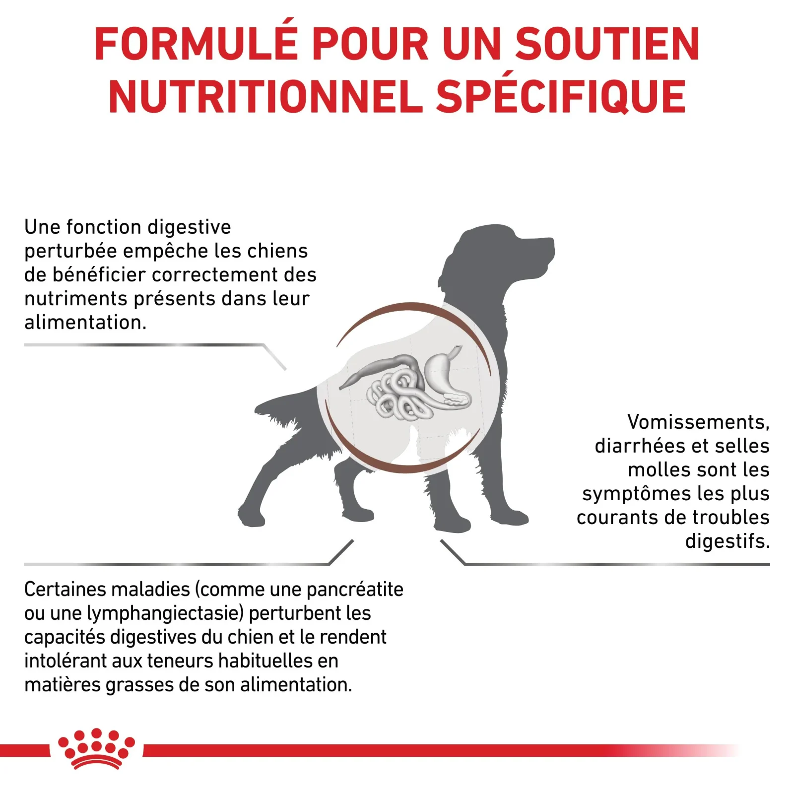 Royal Canin Veterinary Gastrointestinal Low Fat en mousse - pâtée chien - Image 2