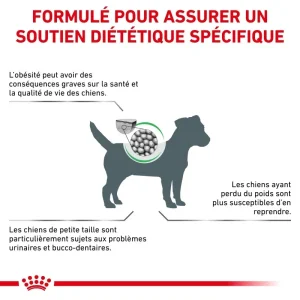 Royal Canin Veterinary Health Nutrition Chien Small Satiety