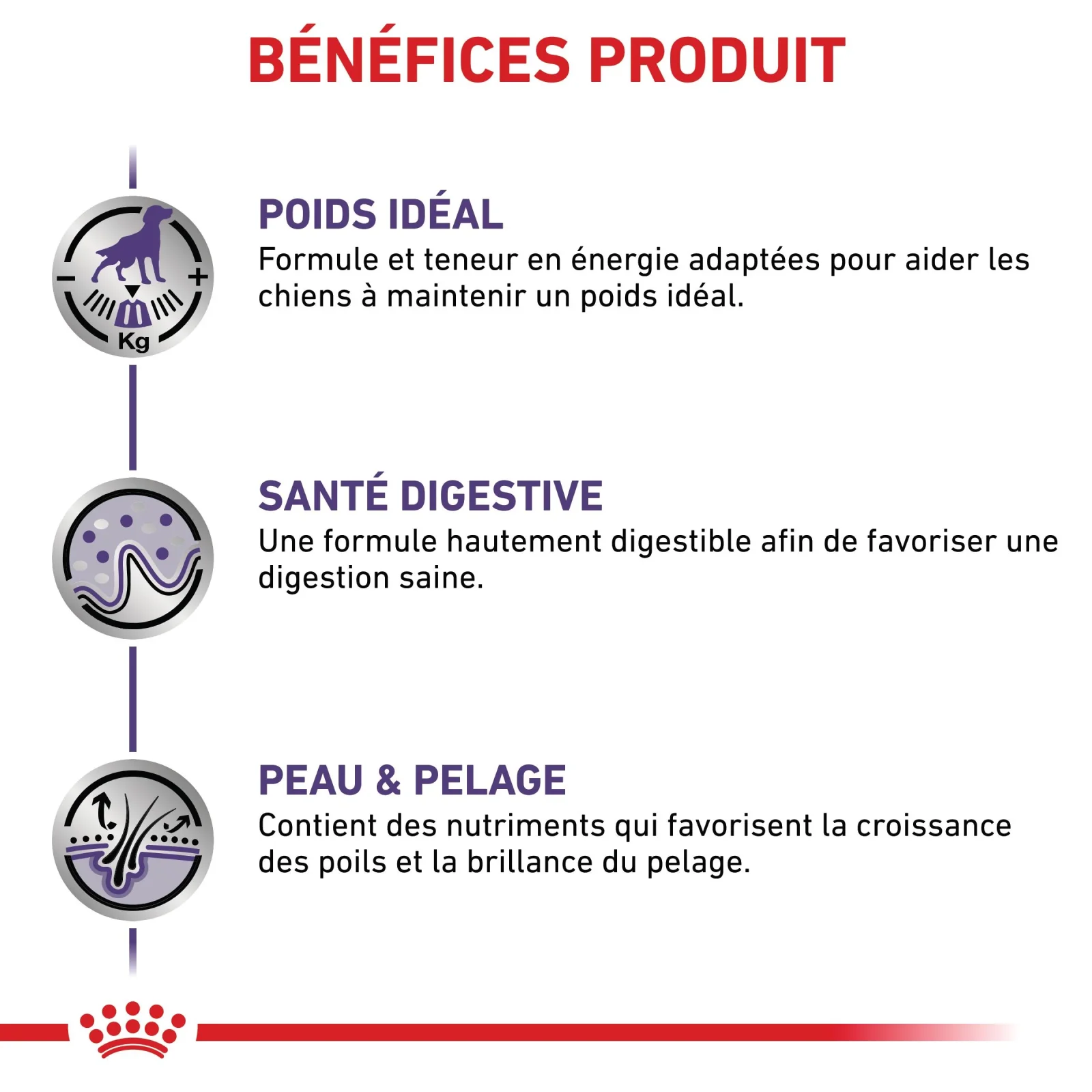 Royal Canin Veterinary Neutered Adult - pâtée chien - Image 2