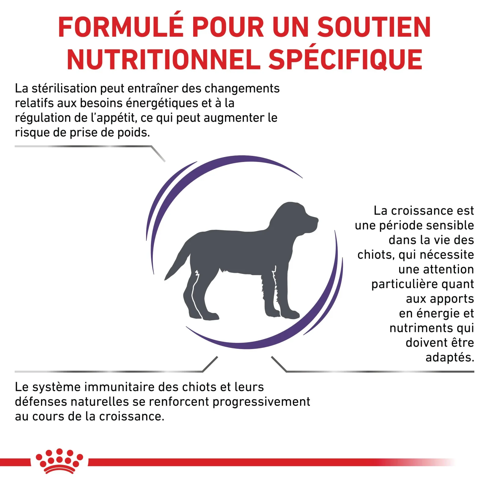 Royal Canin Veterinary Neutered Junior Dog - Image 2