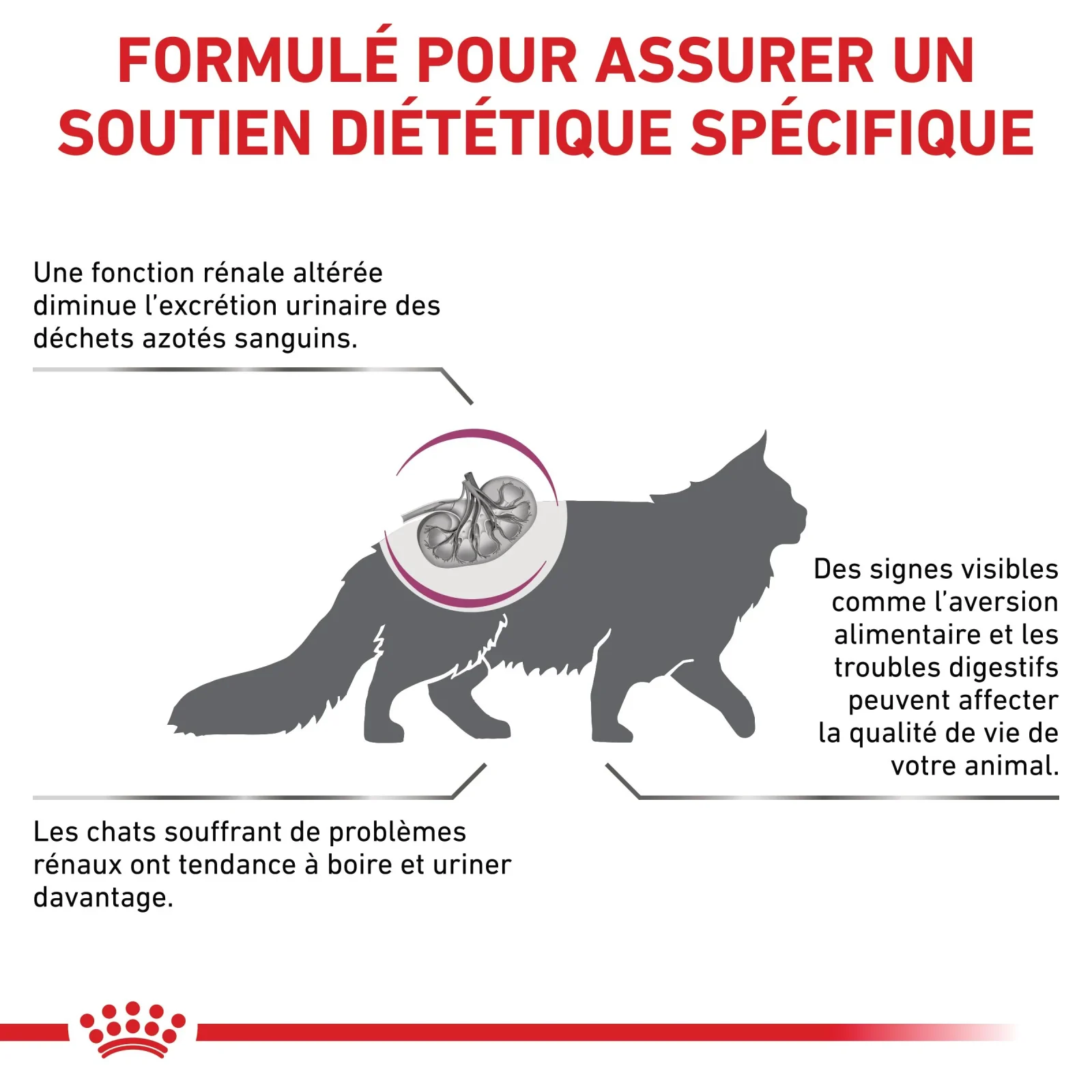 Royal Canin Veterinary Renal Special - croquettes chat - Image 2