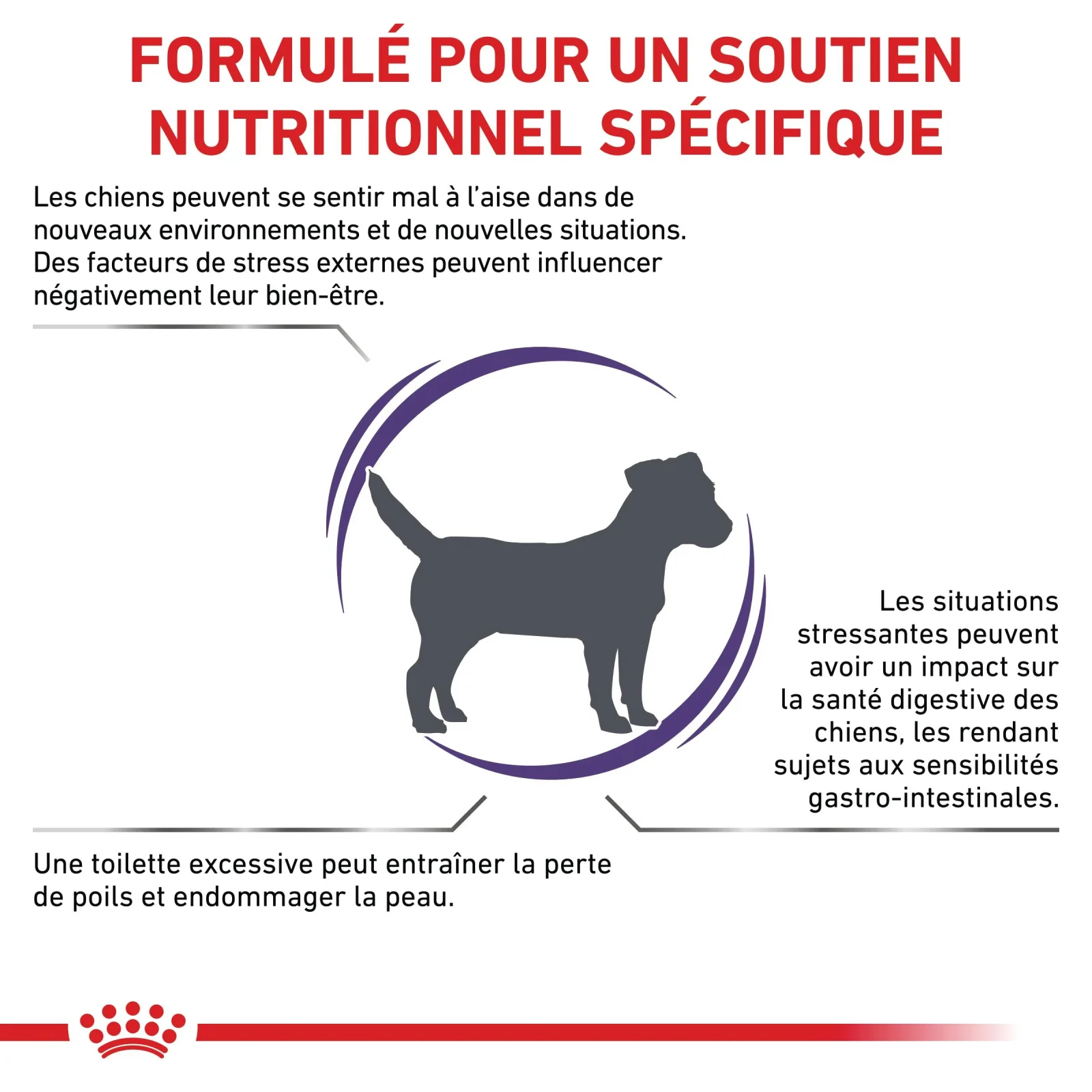 Royal Canin Veterinary Small Calm - Image 2