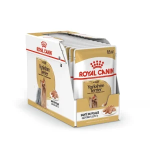 Royal Canin Yorkshire Terrier - pâtée chien