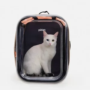 Sac à dos transparent Bulle chat, petit chien, furet