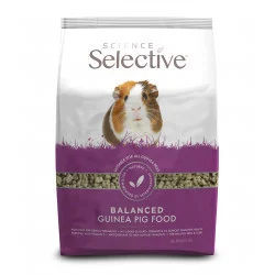 Selective Guinea Pig (Cochon d'Inde)