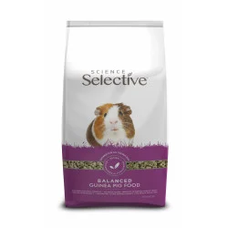 Selective Guinea Pig (Cochon d'Inde)
