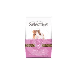 Selective junior Guinea Pig (Cochon d'Inde)