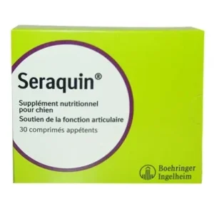 Seraquin chien
