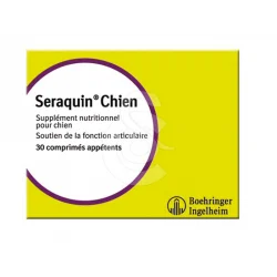 Seraquin Chien