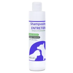 Shampoing Entretien