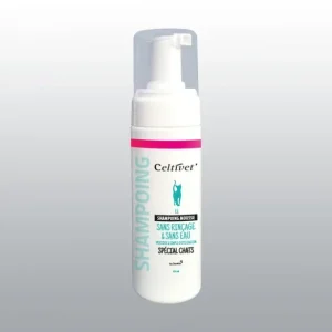 Shampoing sec mousse chat