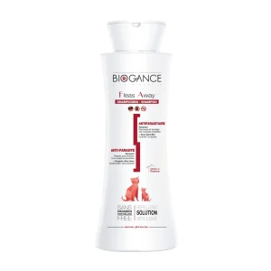 Shampooing insectifuge chat, chaton
