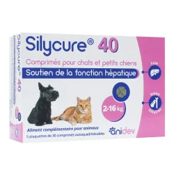 Silycure 40 mg