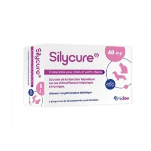 Silycure chat, petit chien