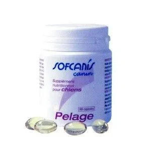 Sofcanis Pelage Chien