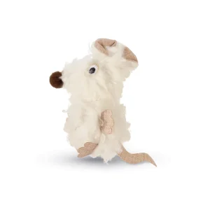 Souris Holly chat