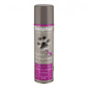 Spray shampooing sec chien, chat