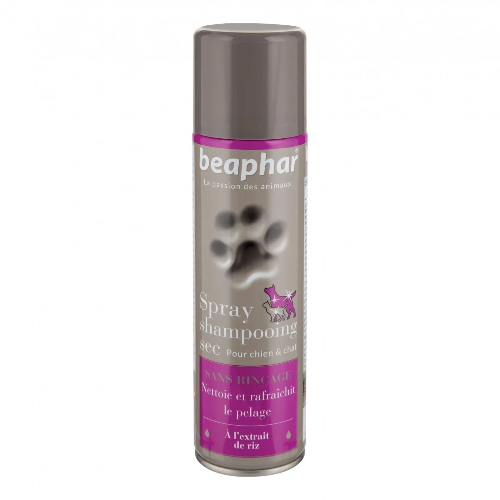 Spray shampooing sec chien, chat