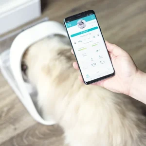 SureFeed : Optimisez le comportement alimentaire de votre chat grâce à cette solution innovante