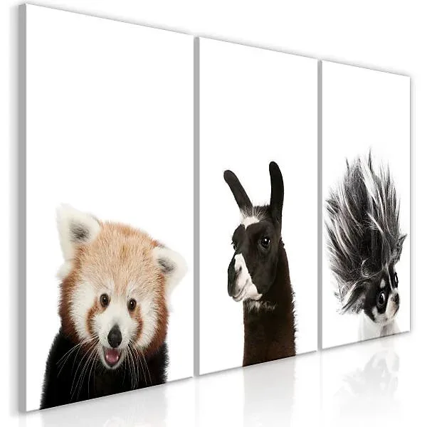 Tableau Friendly Animals Collection 60×30 cm