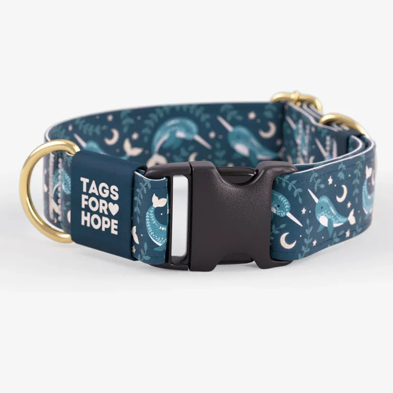 TAGS FOR HOPE – Collier Narval pour chien