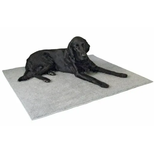Tapis antidérapant chien