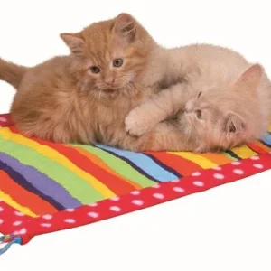 Tapis de jeu pour chat